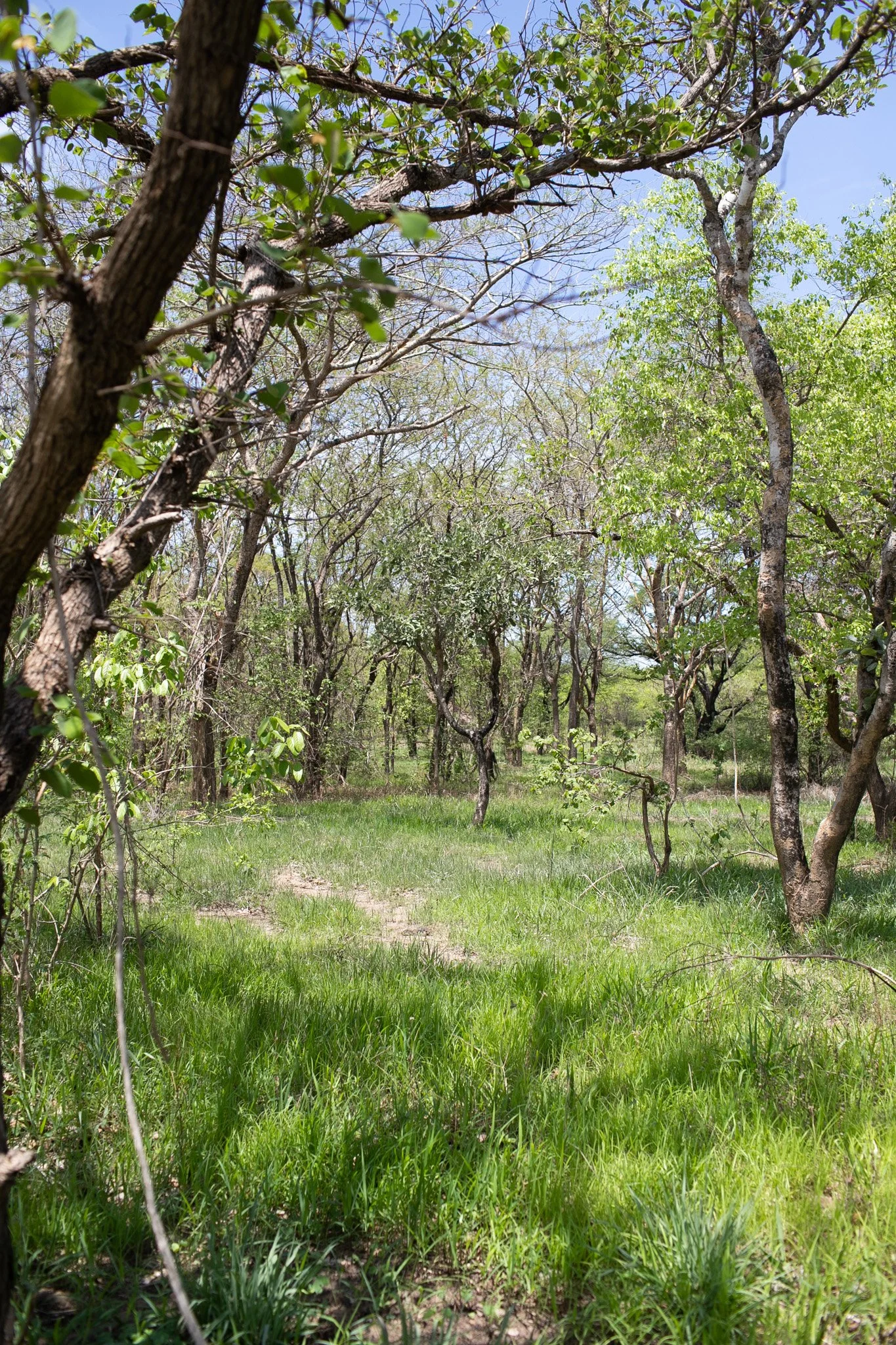 IMG_6890.jpg