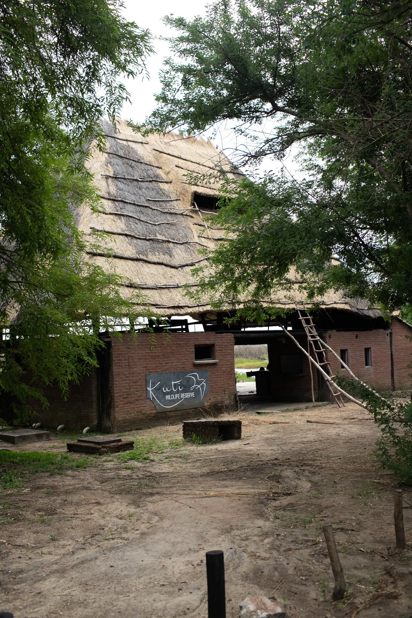 IMG_6900.jpg