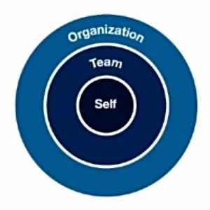 Mentor_graphic_1.jpg