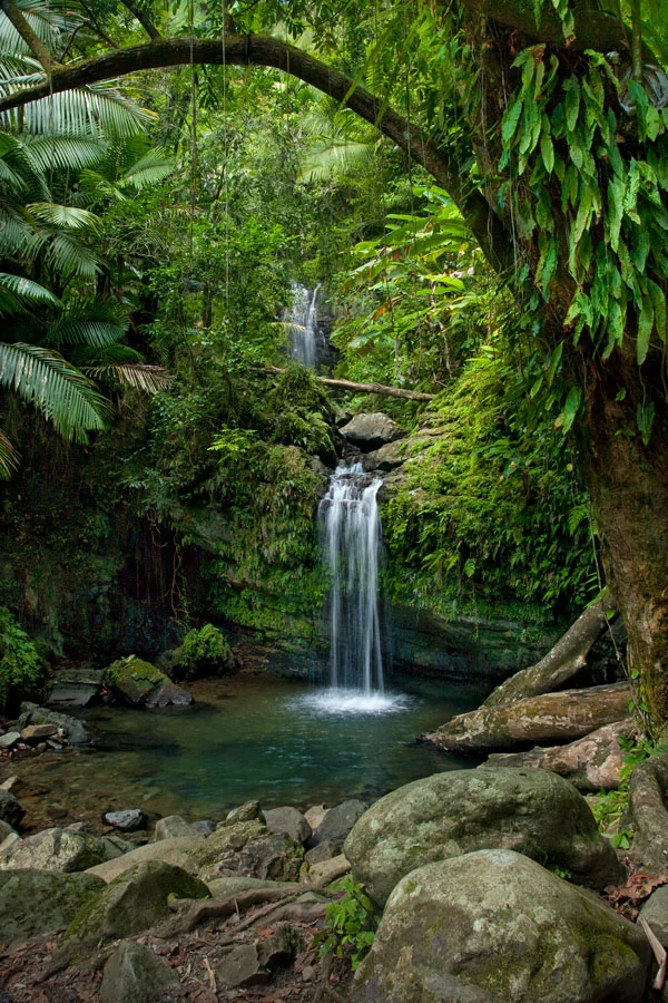 _MG_6326-double-falls,-El-Yunque.jpg