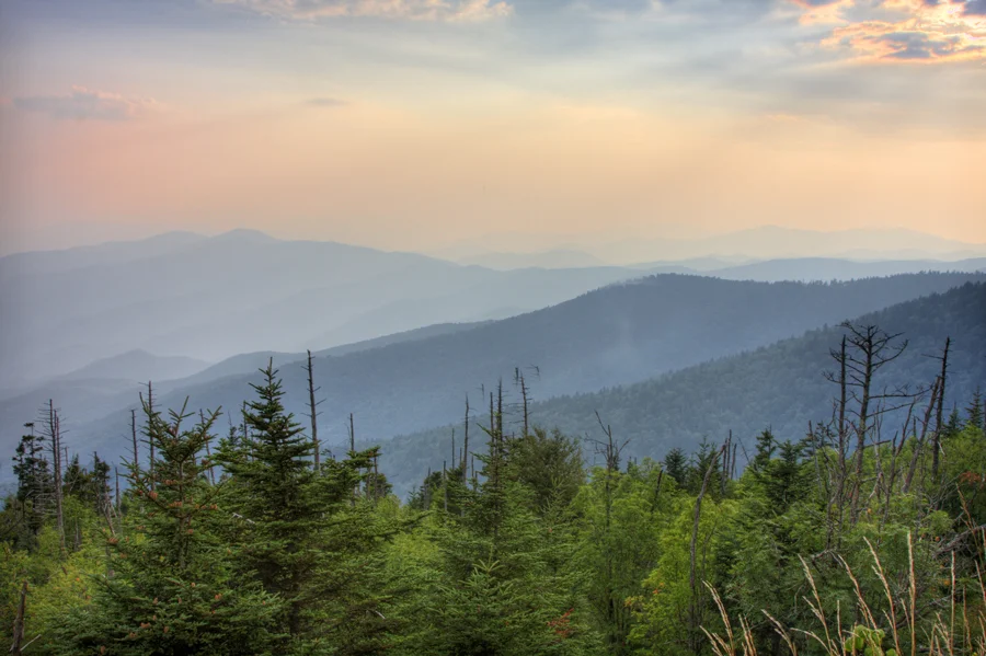 Clingmans-Dome-hz-8-0501_499_500.jpg