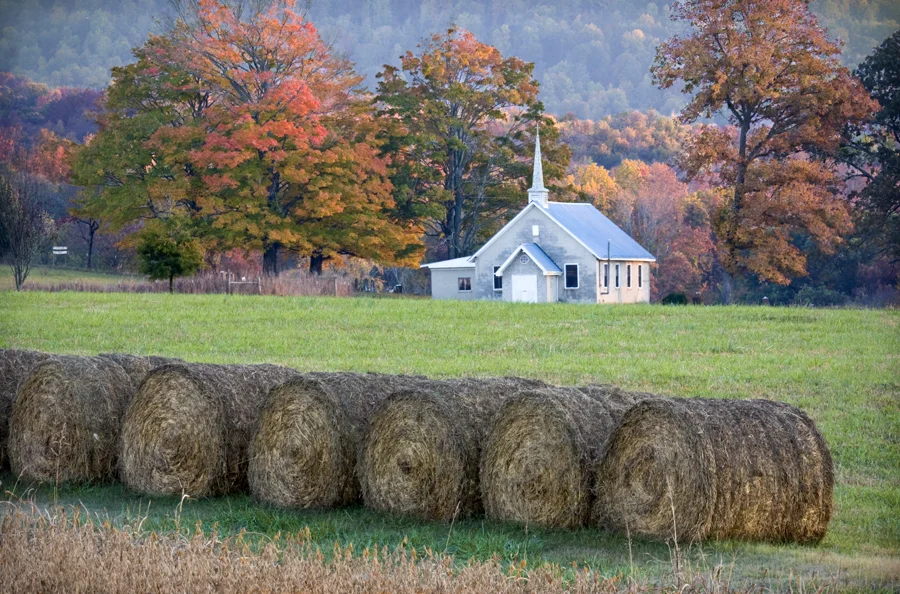 Wesleys-Chapel-1_MG_3728-42-1-Edit-1.jpg