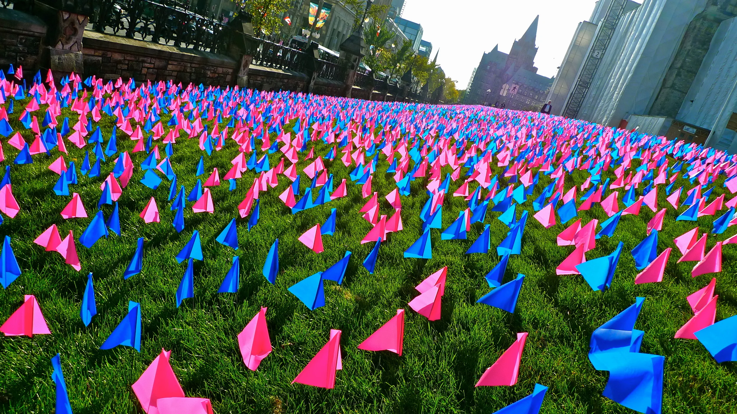 "Pink and Blue" Ottawa, ON 