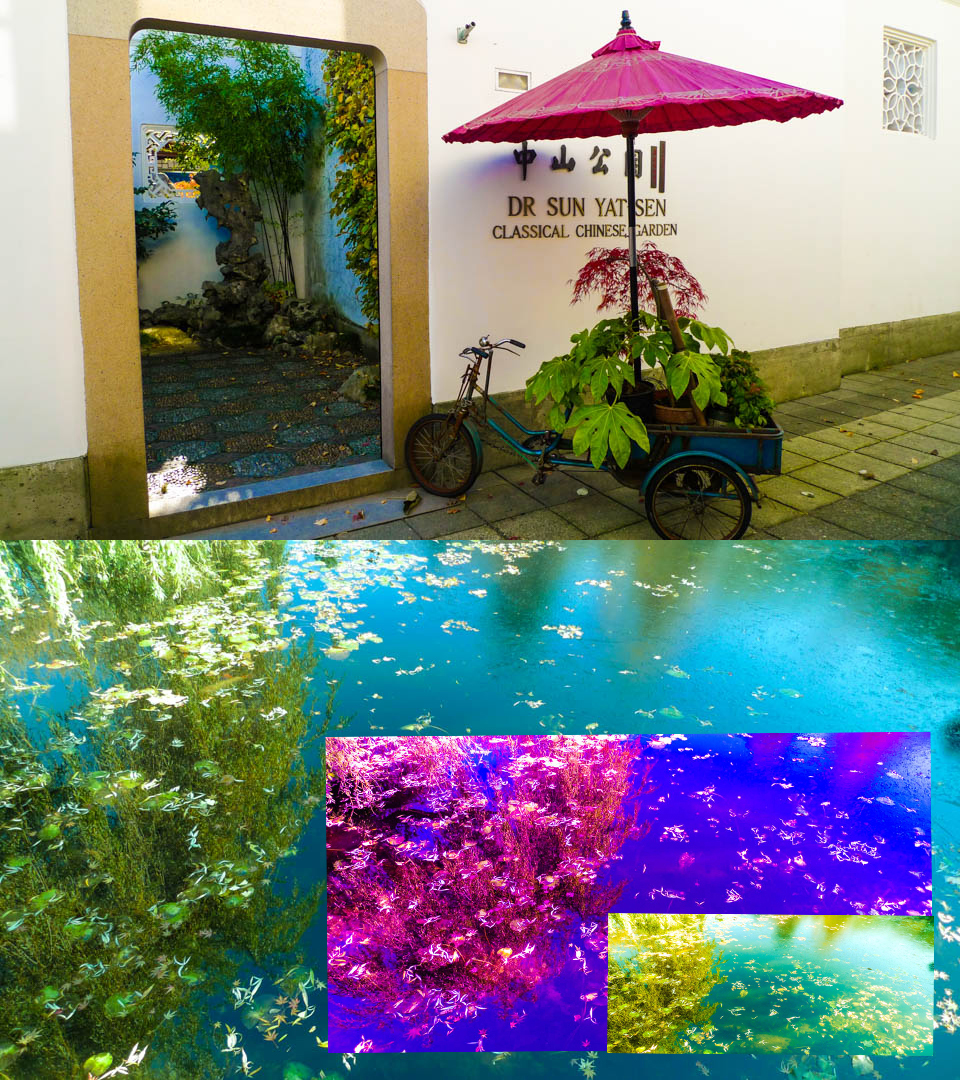 "Dr. Sun Yat-Sen Classical Chinese Garden" Vancouver, BC