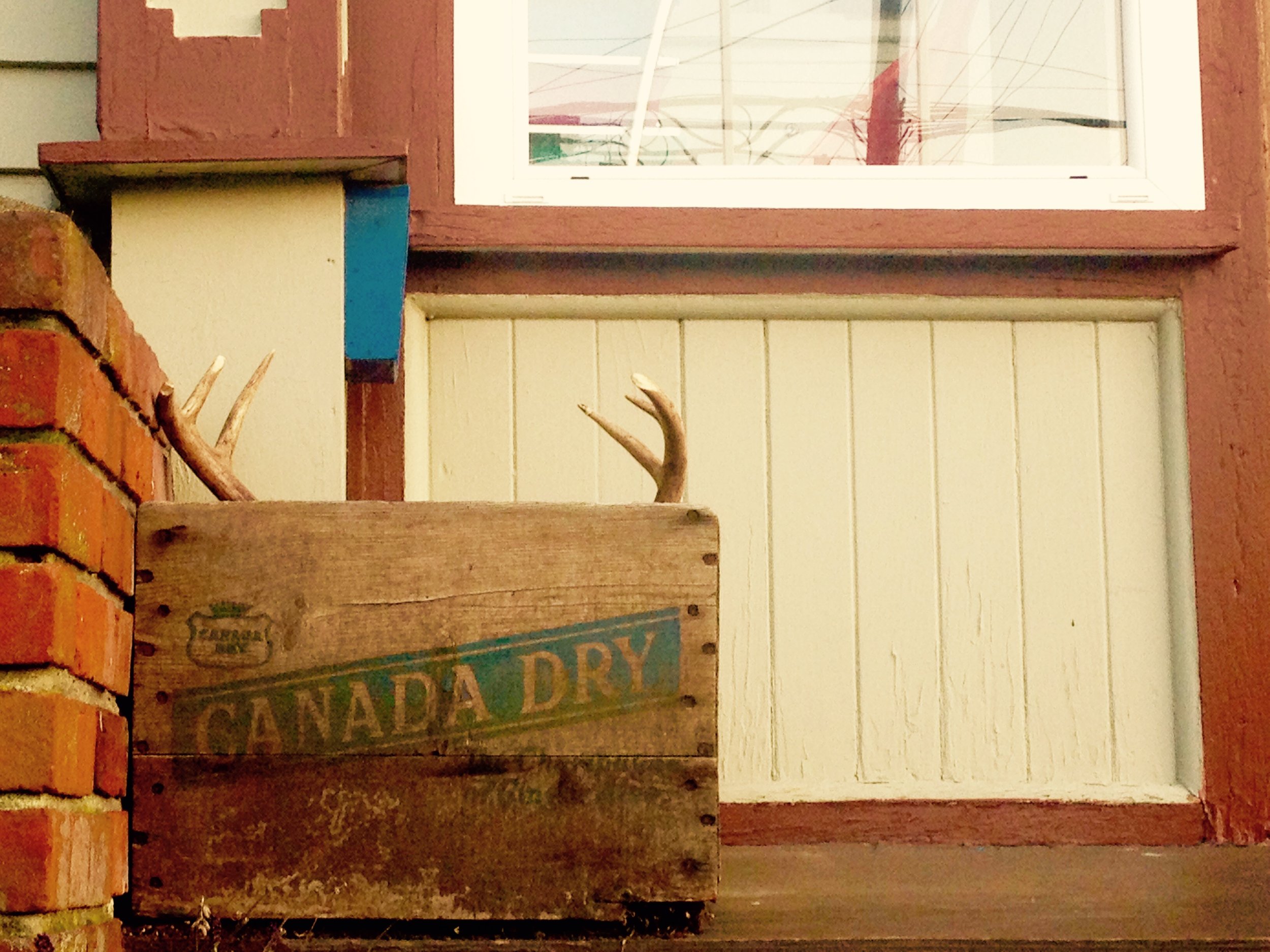 Canada Dry, Victoria BC