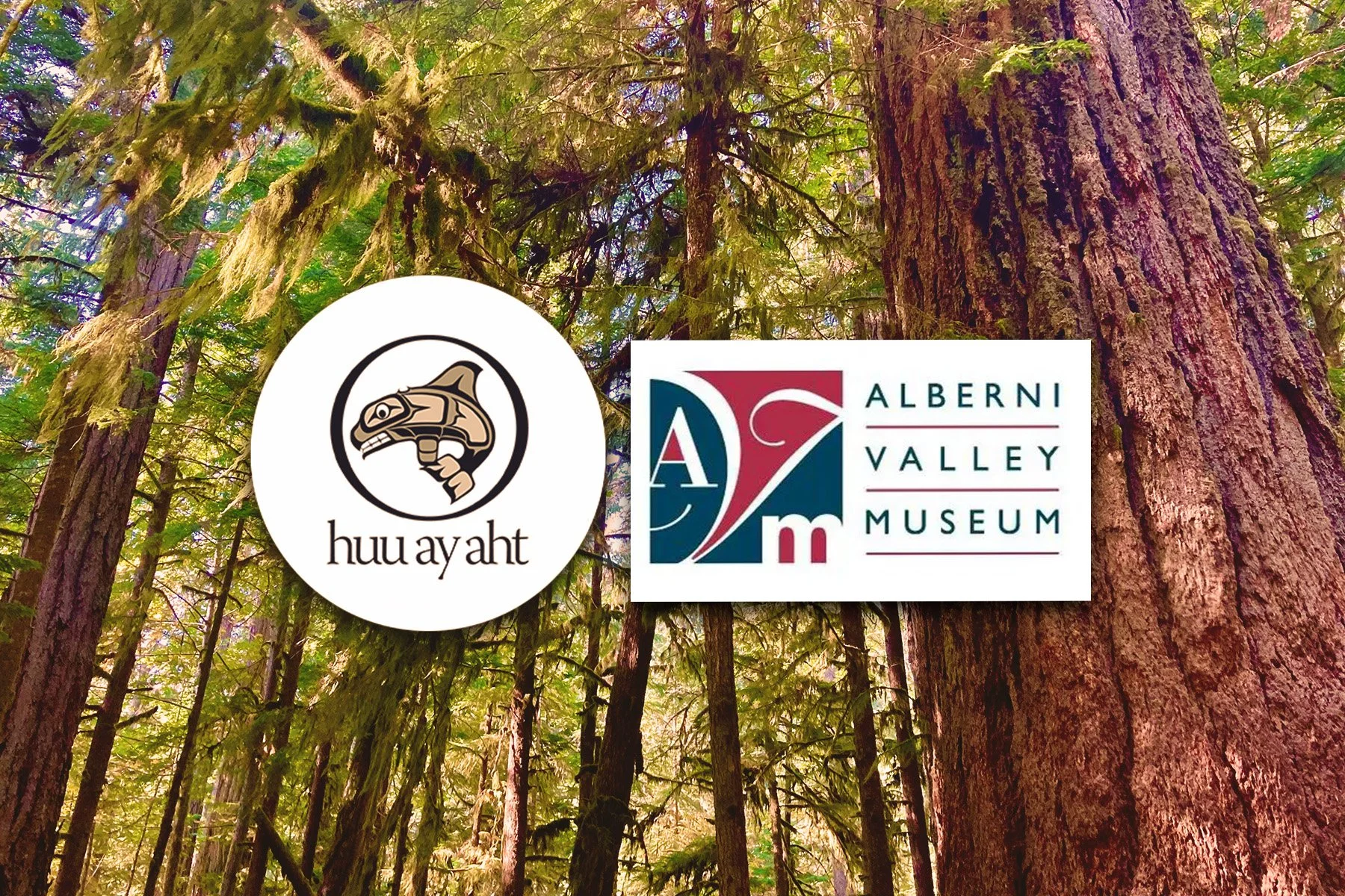 Treasures Coming Home