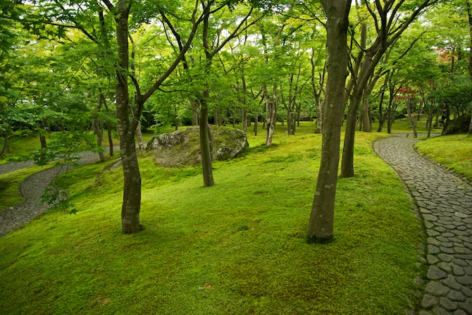 Hakone Japan | NaomiVanDoren.com