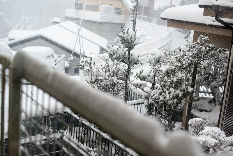 Snow Day Japan Naomi VanDoren-2
