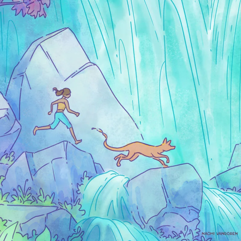 Crossing-the-Falls-Naomi-VanDoren-web800-detail-crop1.jpg