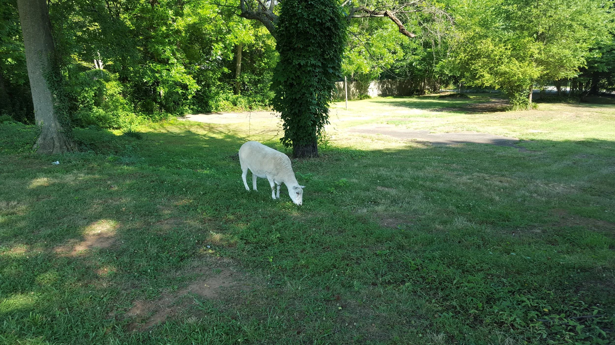 20150618_094727.jpg