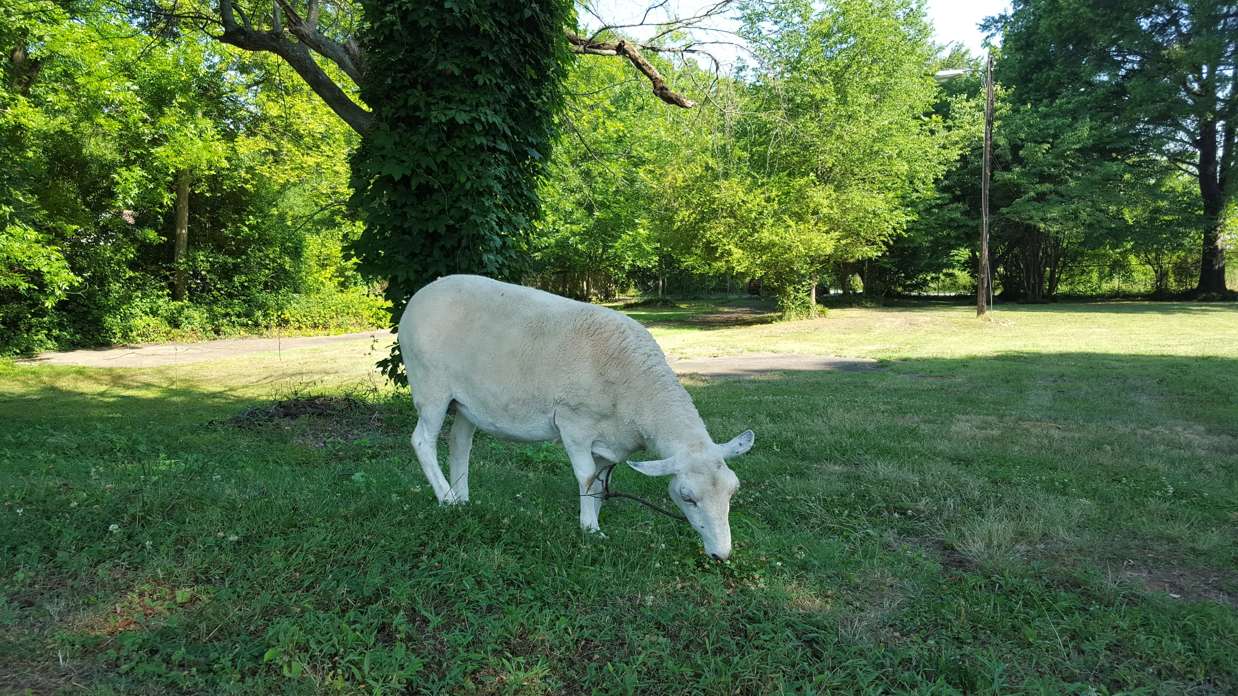 20150618_094735.jpg