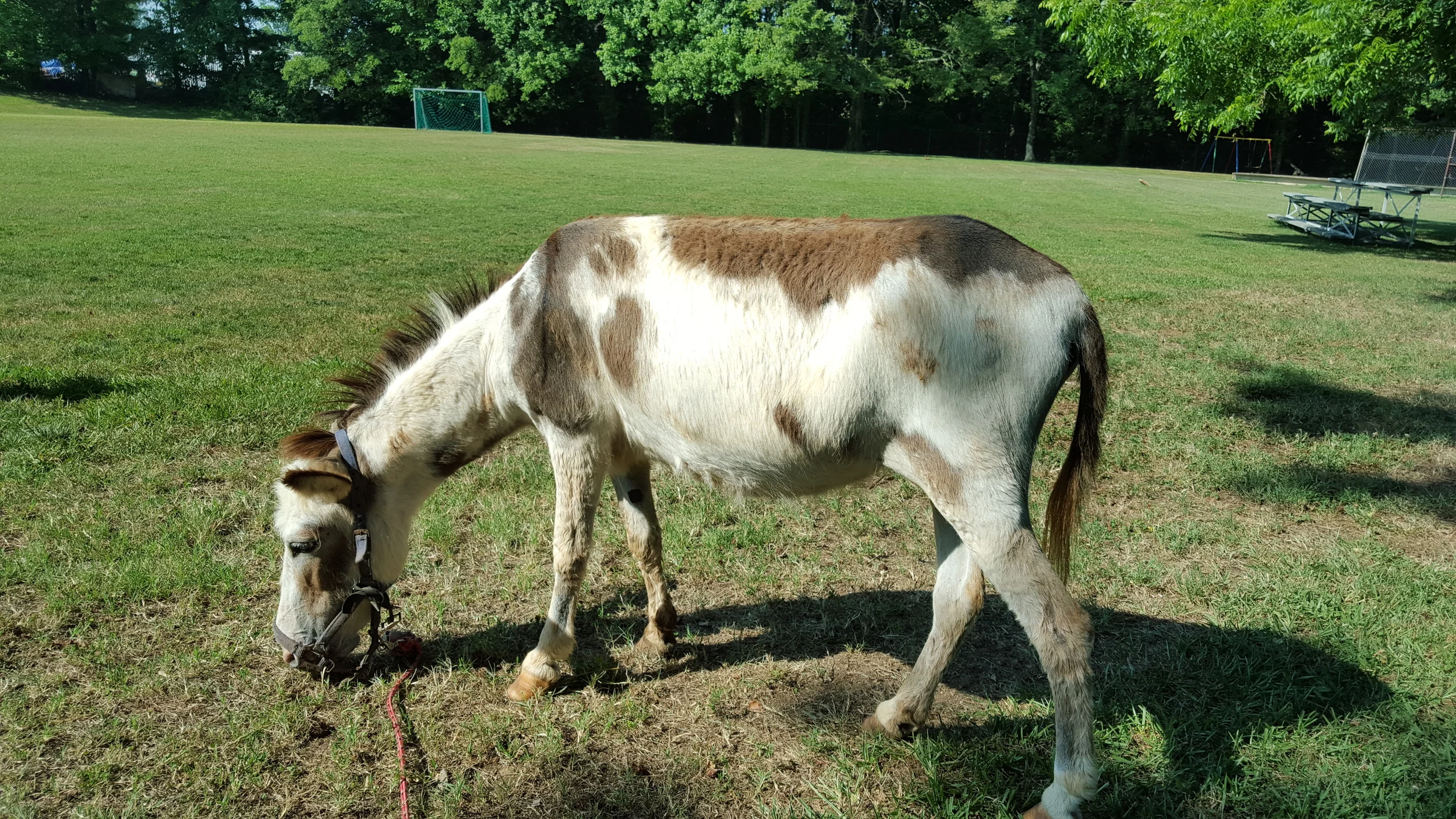 20150618_094755.jpg