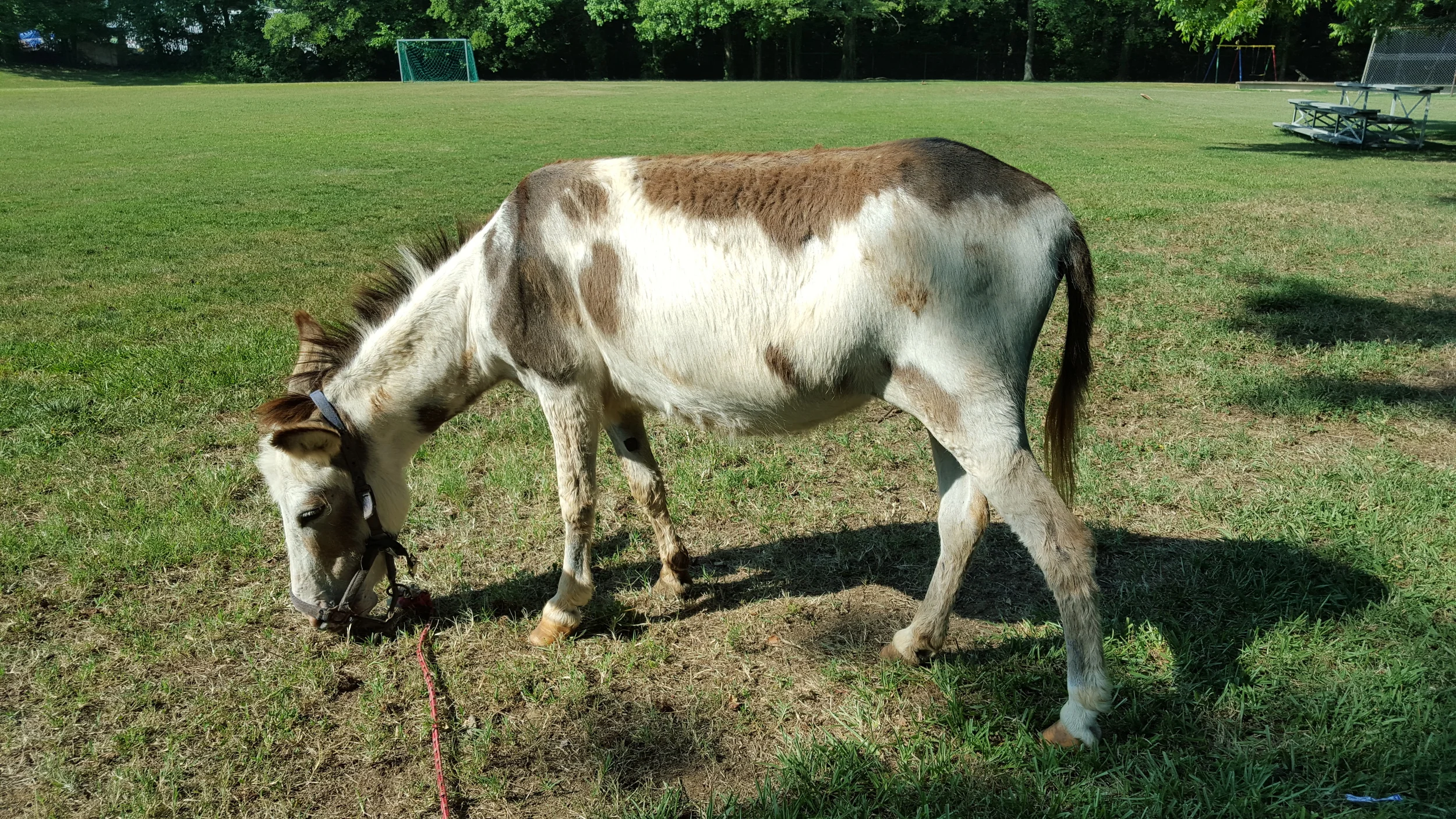 20150618_094758.jpg
