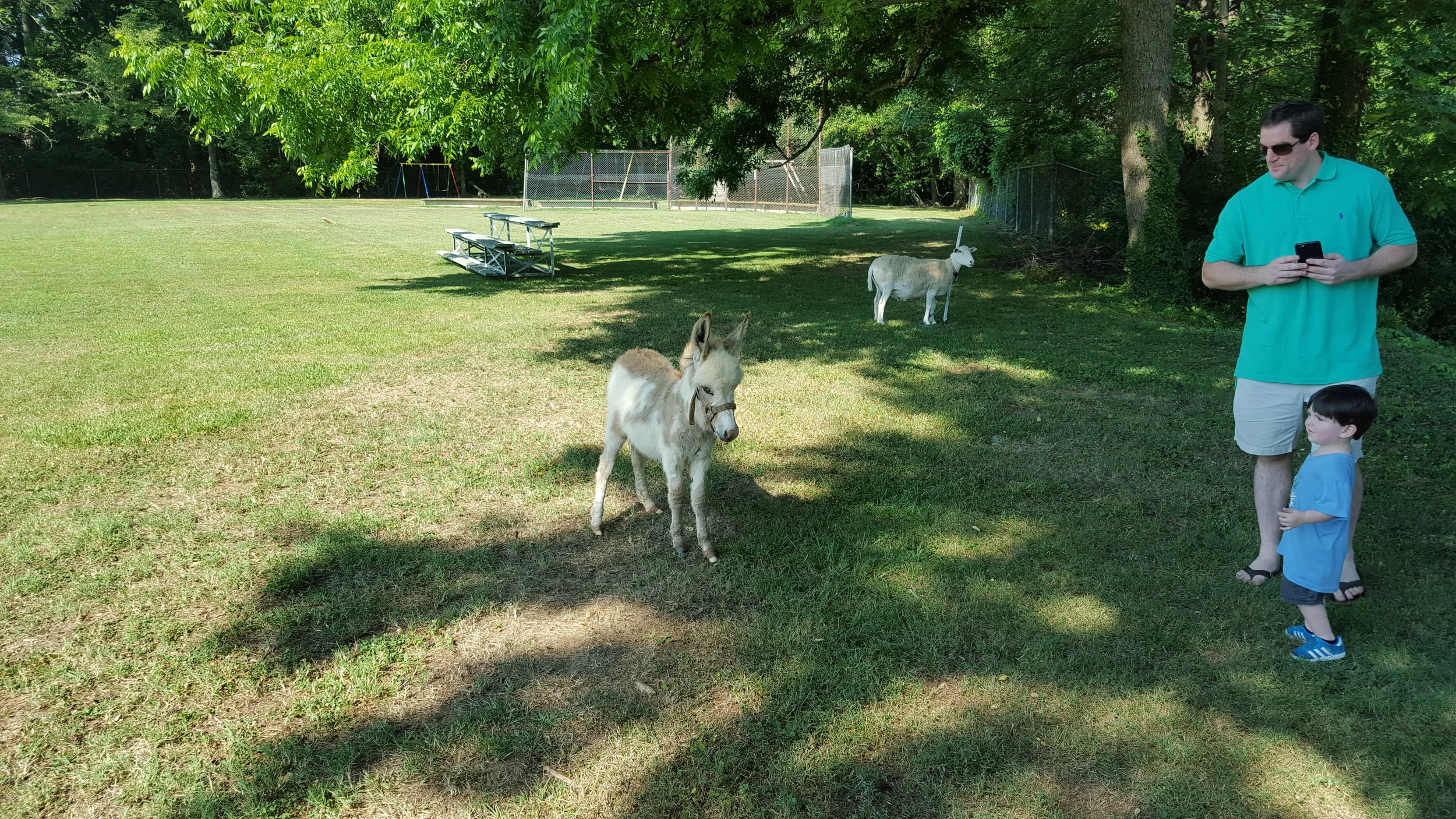20150618_094803.jpg