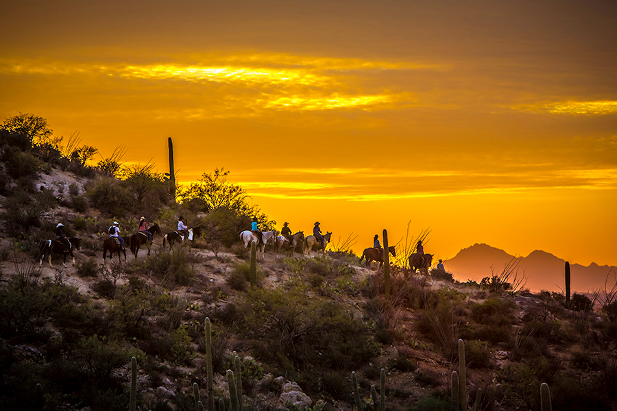 best-us-ranch-photographer