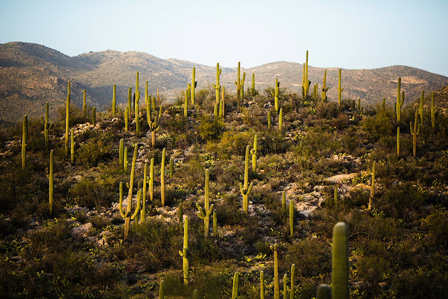 new-mexico-resort-photographer