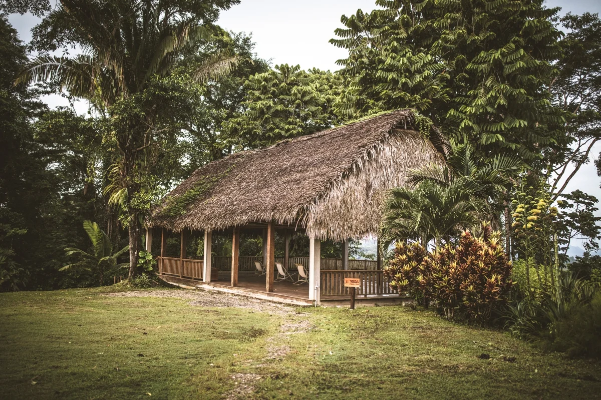 r2 2.jpg