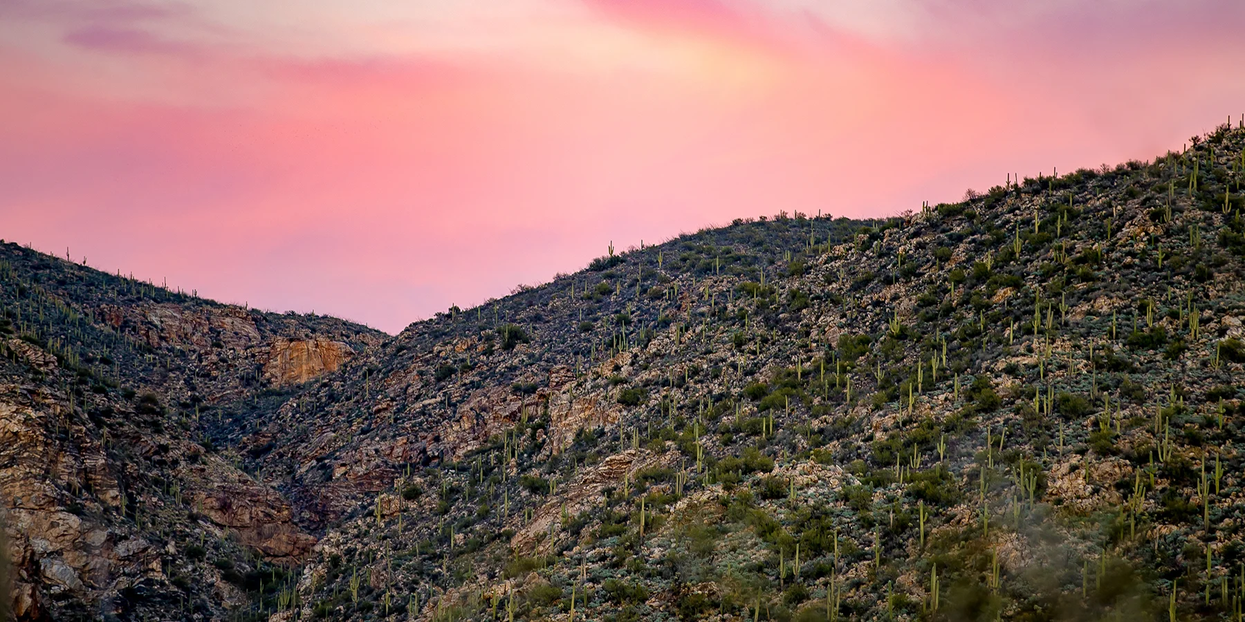 uc_tucson-728.jpg