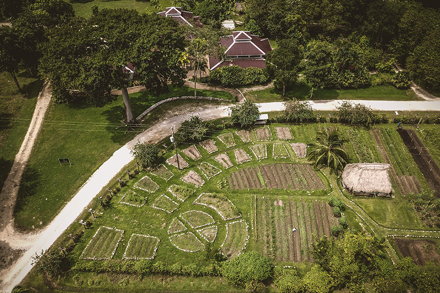 belize-aerial-drone-videographer