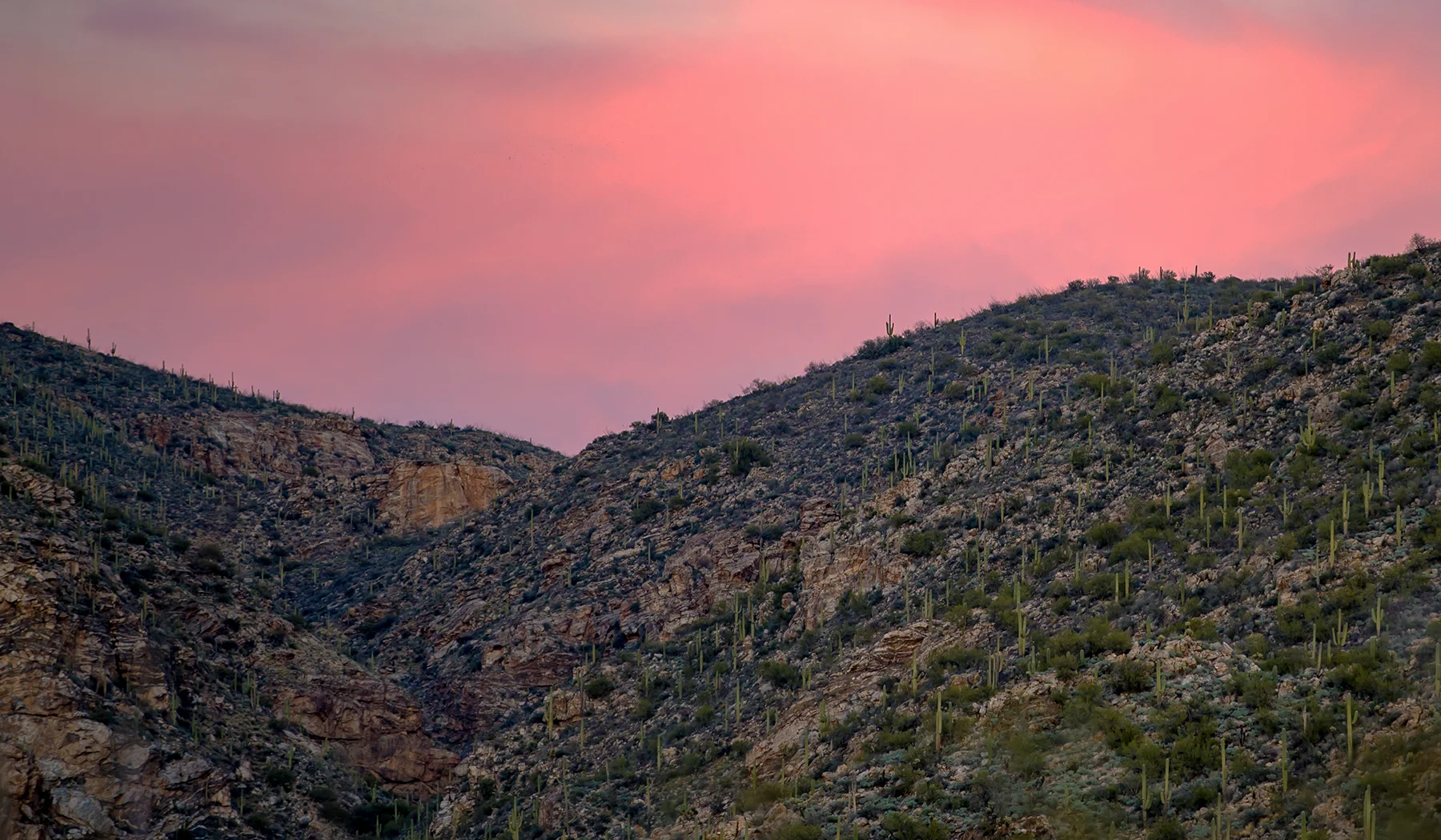 uc_tucson-729.jpg