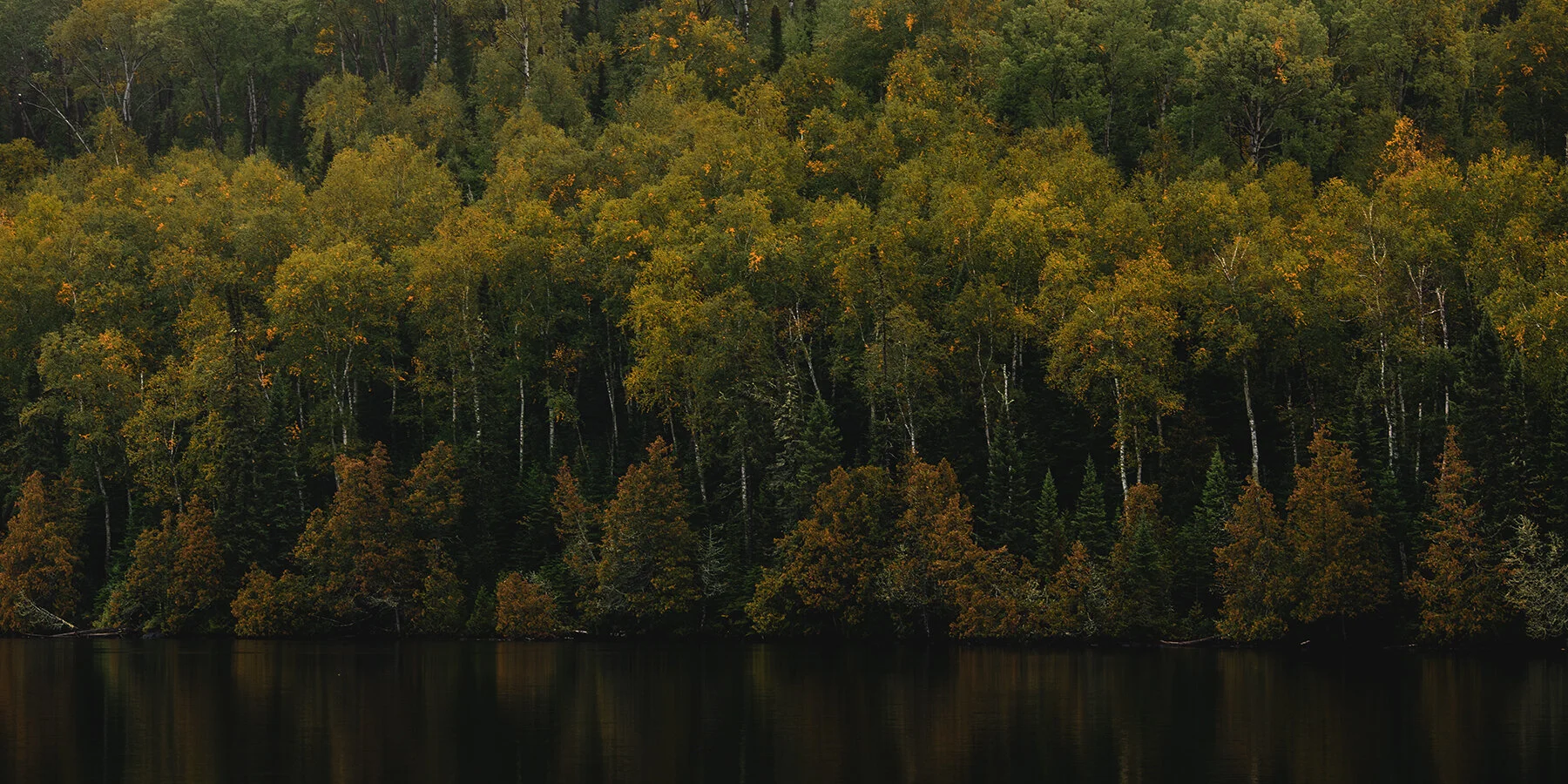 best-resort-photographer-minnesota.jpg