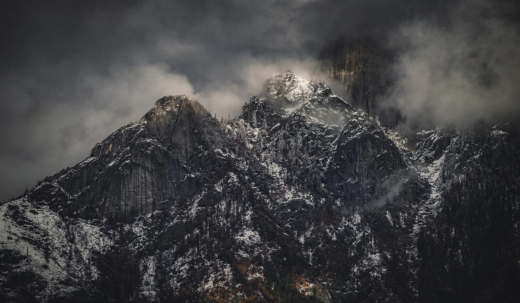 Sequioa_header.jpg