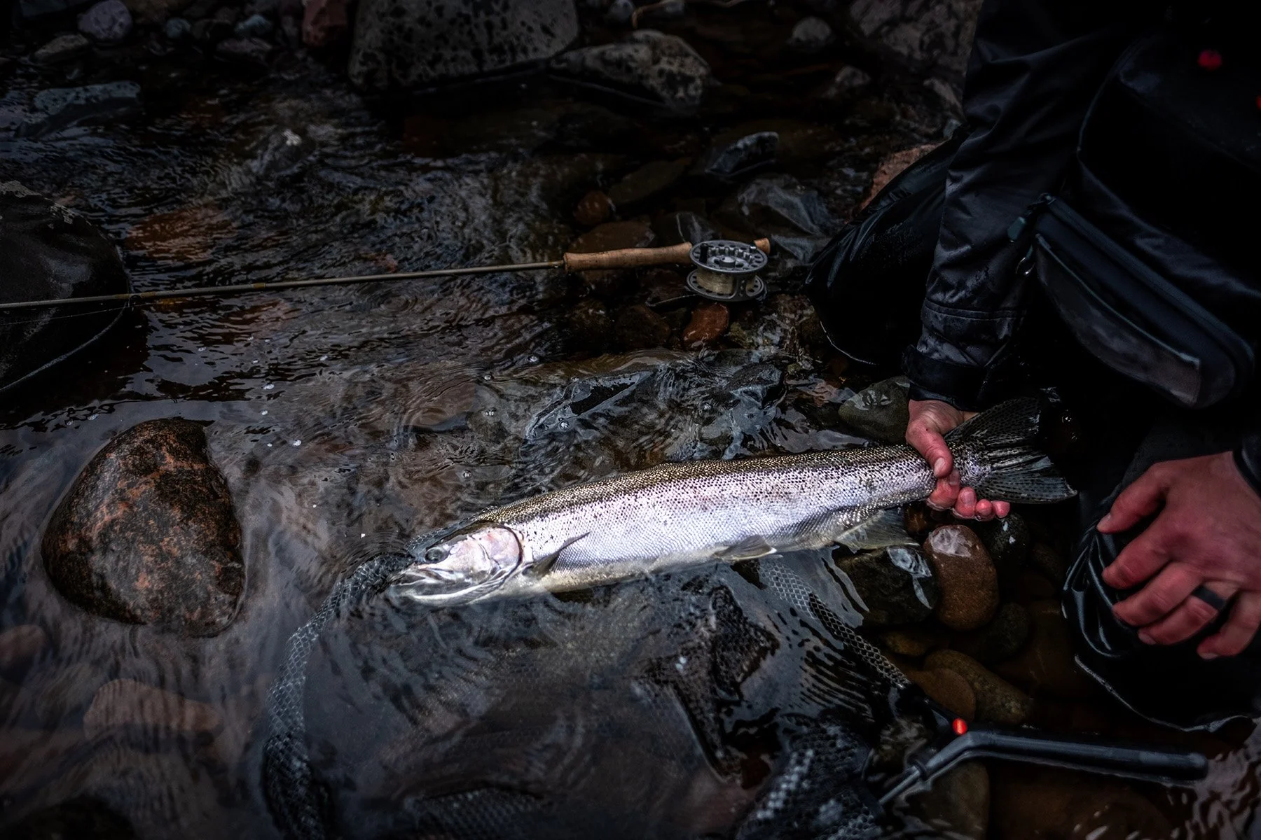 Spring Steelheading on Minnesota’s North Shore with Catching Adventures