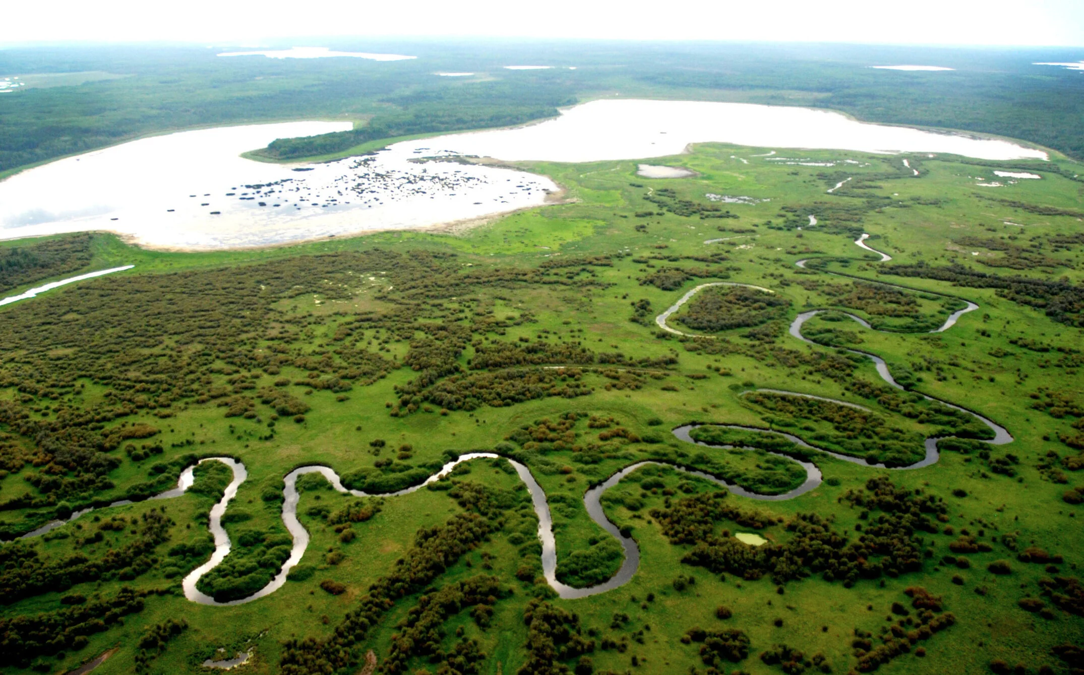 the Wilds