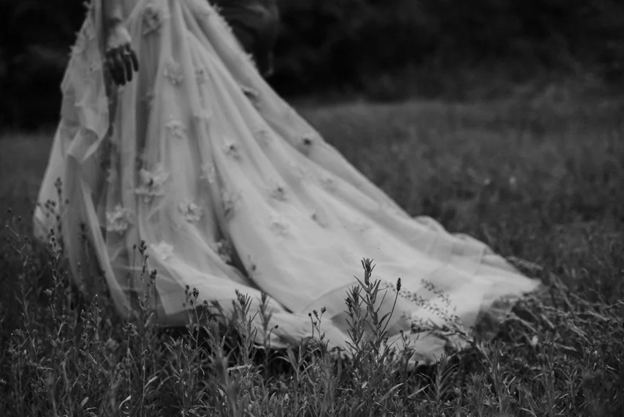 brides wedding dress