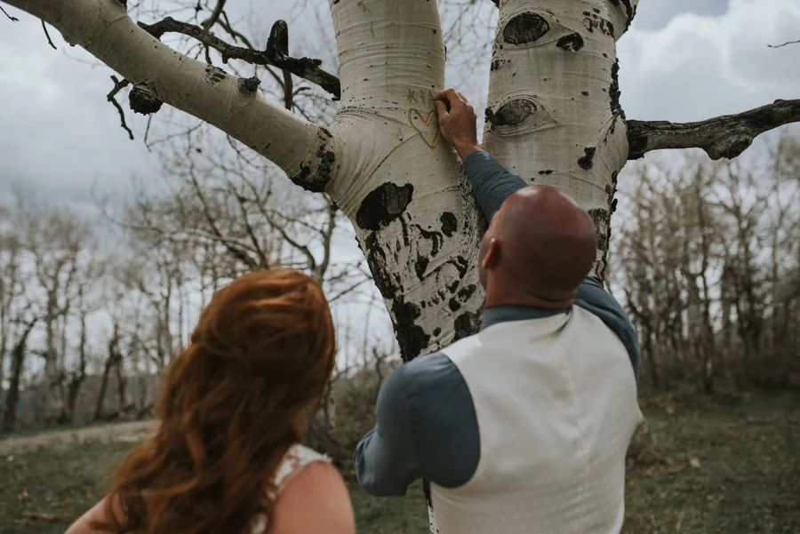 husband carving wedding date in tree