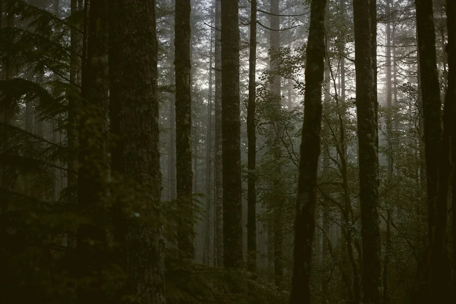 pacific northwest elopement