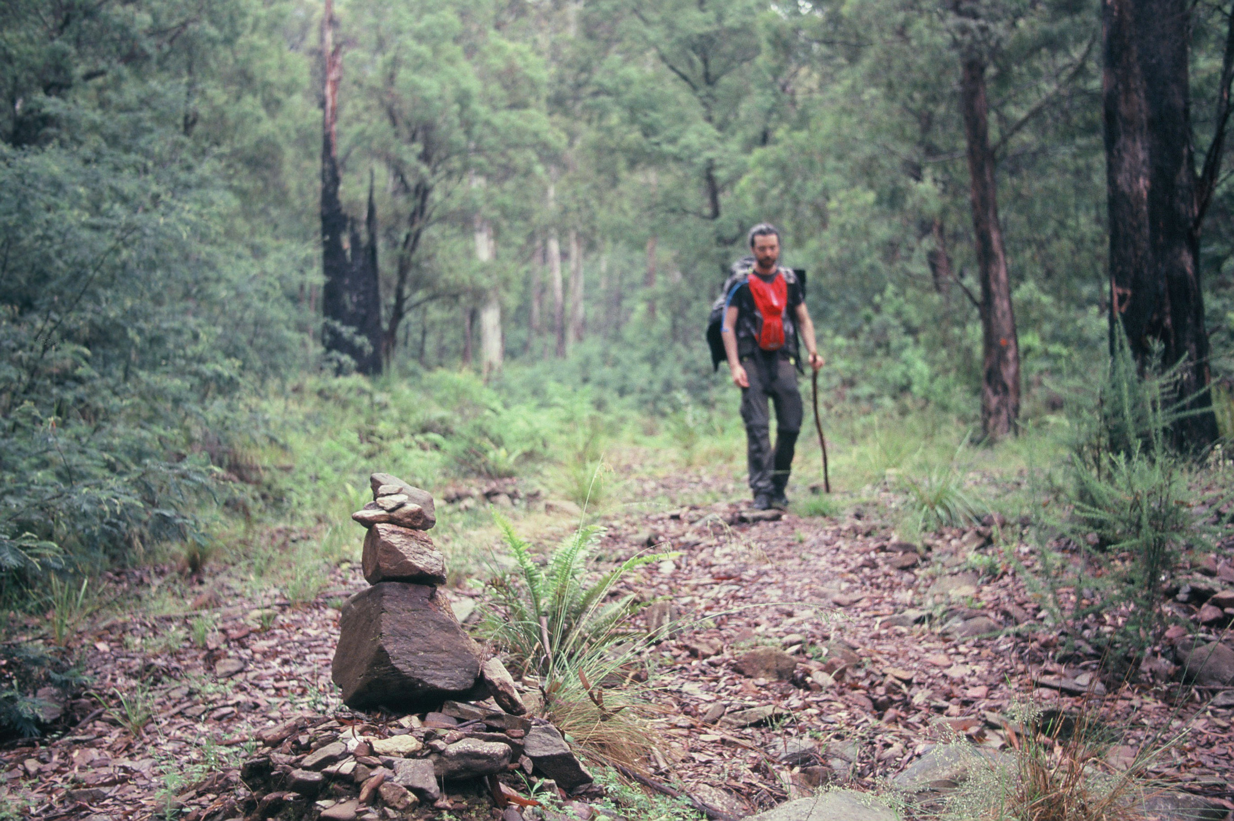 Feathertop2016_005b.JPG