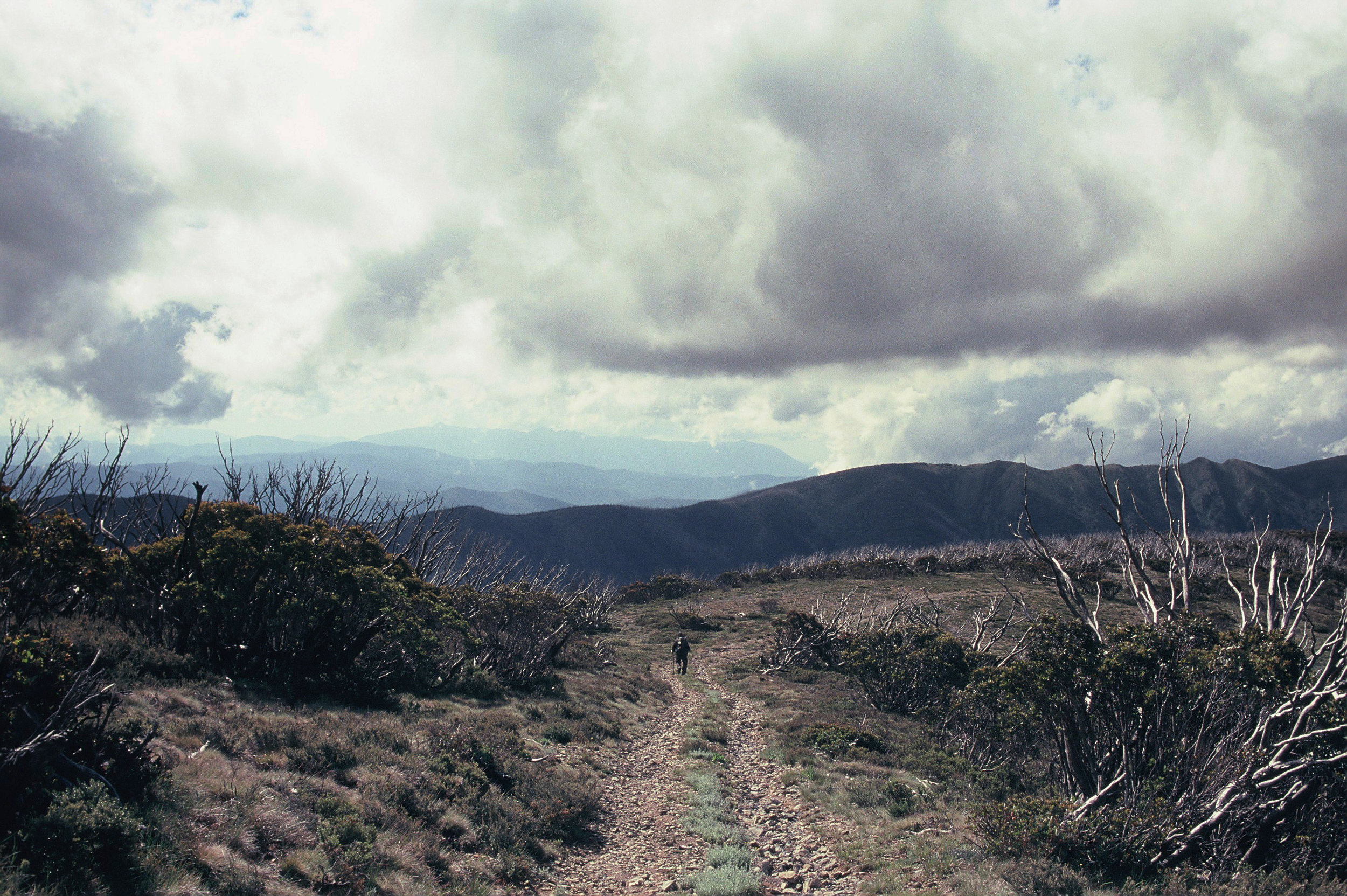 Feathertop2016_013.JPG