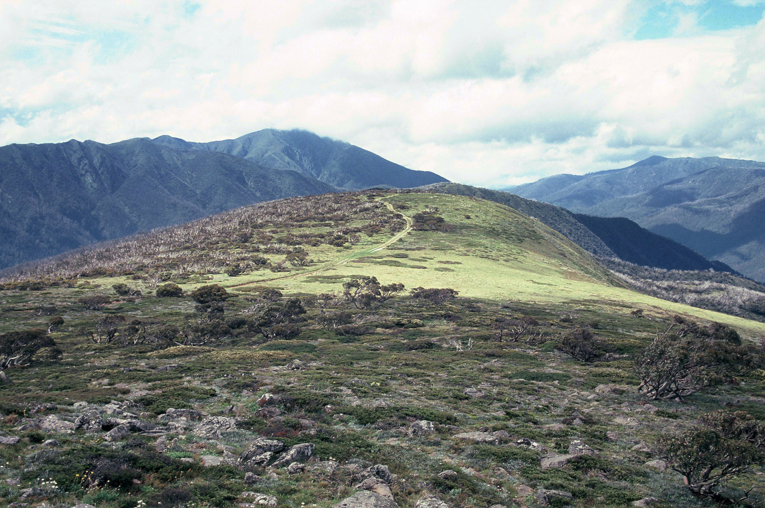 Feathertop2016_0019.JPG