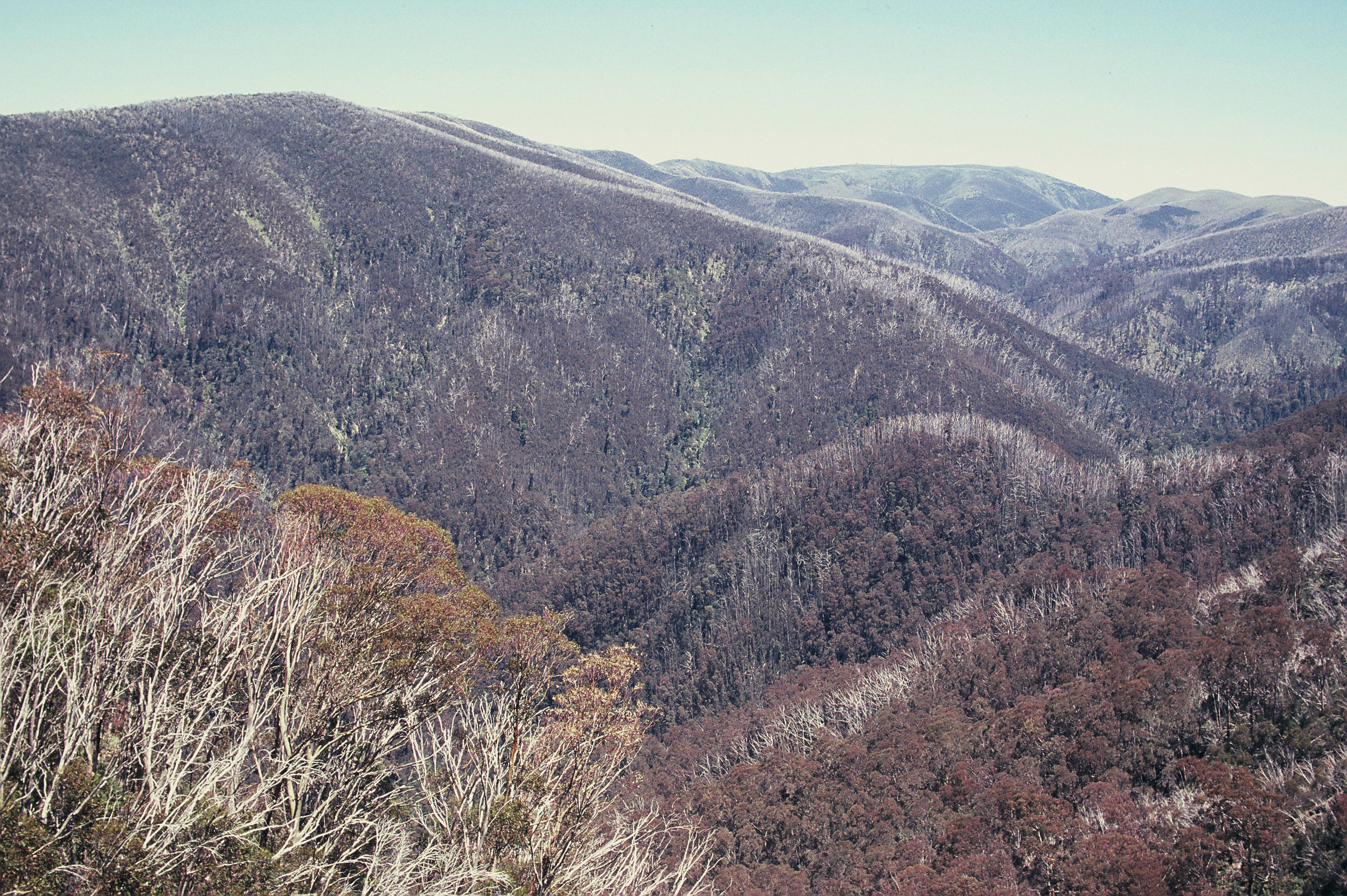 Feathertop2016_0031.JPG