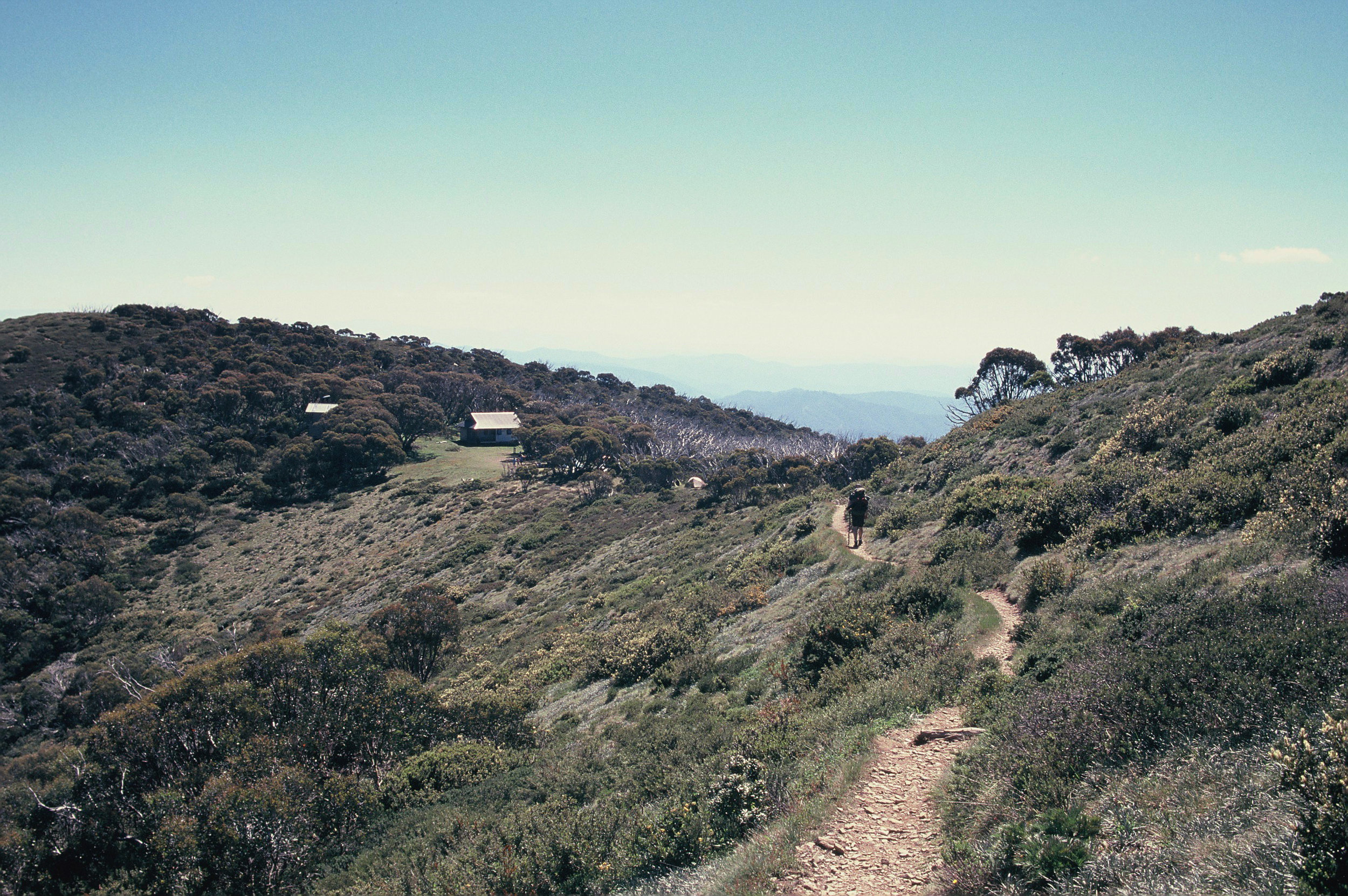 Feathertop2016_0033.JPG