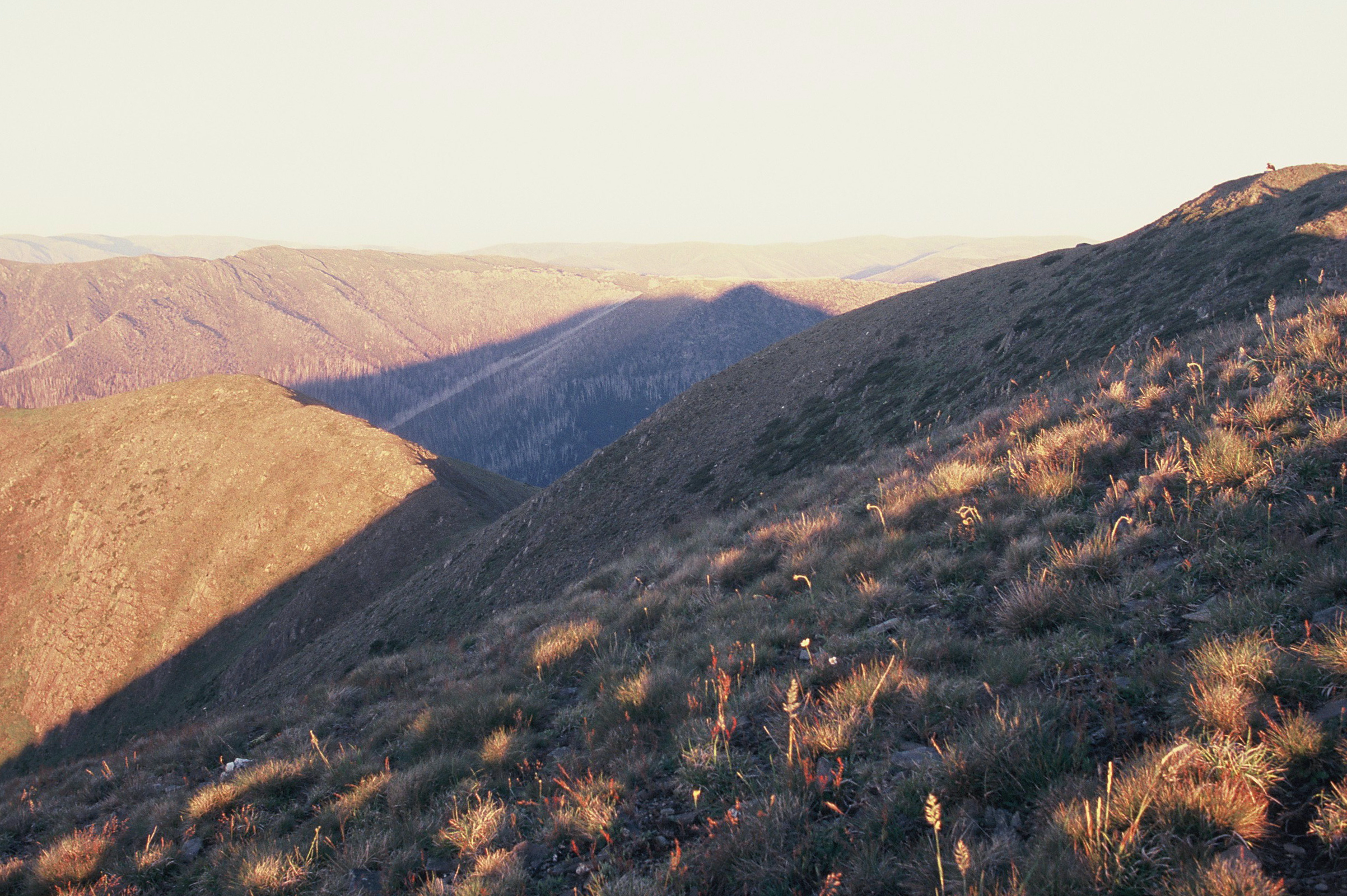 Feathertop2016_0038.JPG