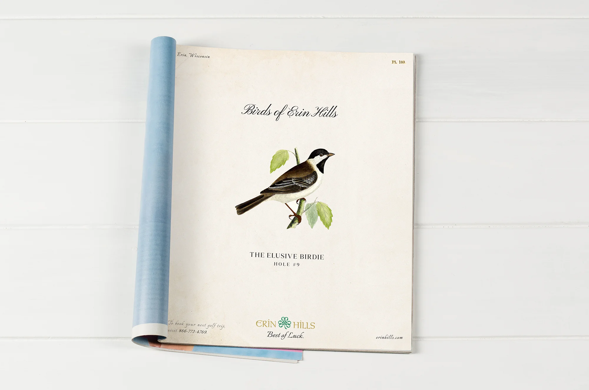 ErinHills_Print_0000_Birdie.jpg