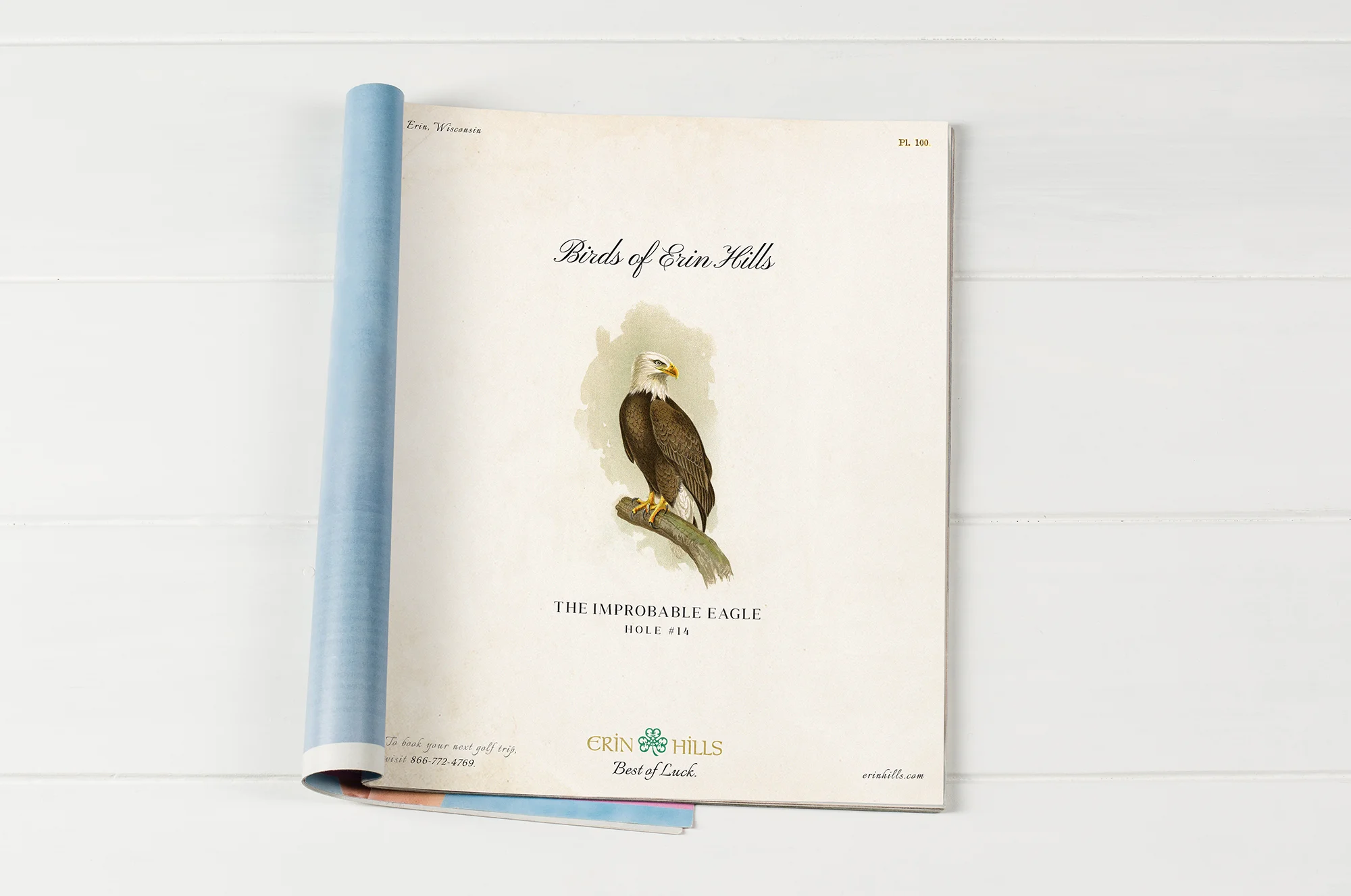 ErinHills_Print_0001_Eagle.jpg