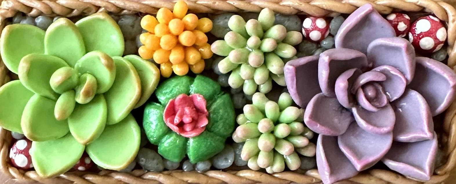 Succulents_banner.jpg