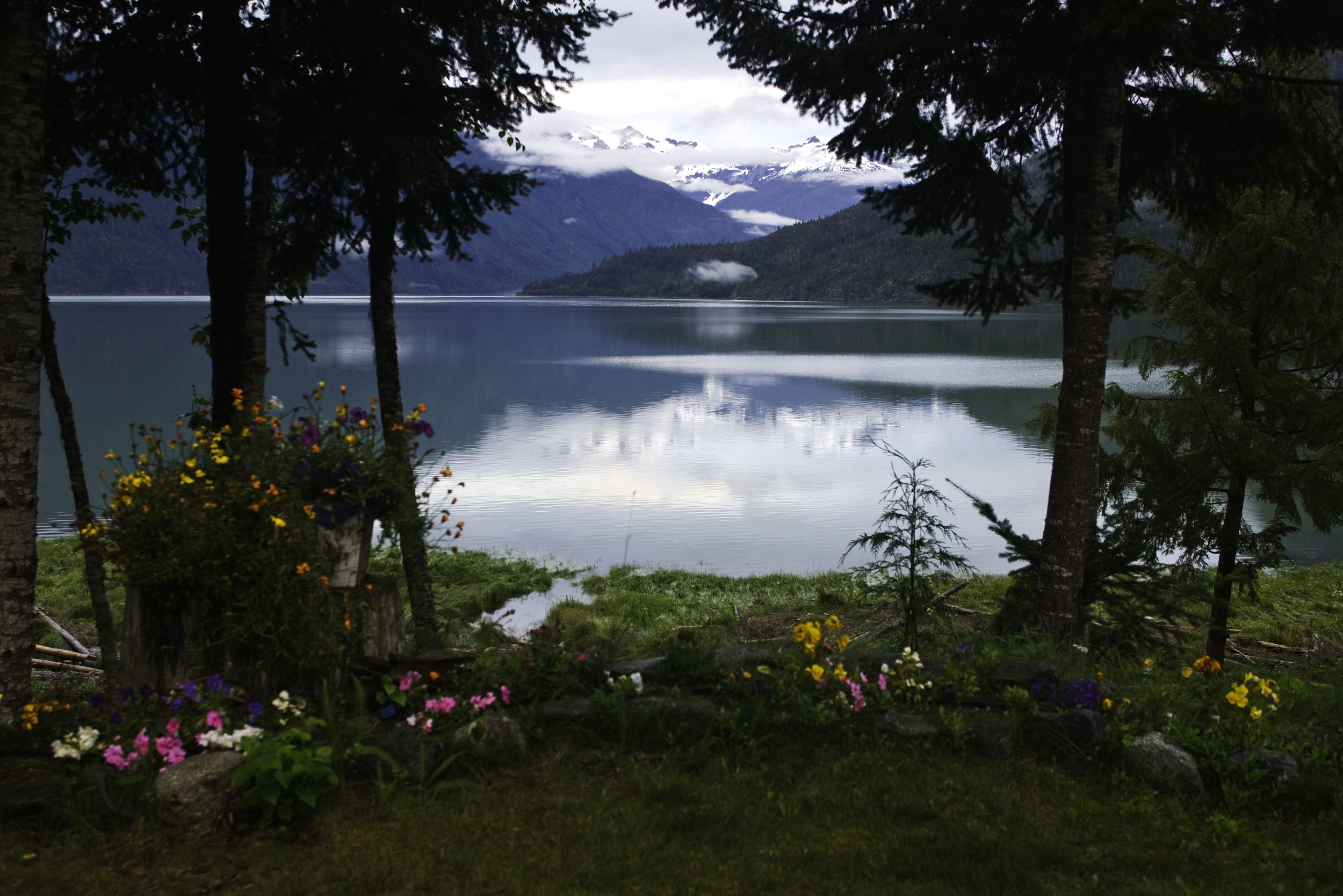 View_from_the_Blackwell's_lLower_Dean_River_Lodge_looking_out_at_the_DeanChannel._63H1546_f_copy.jpg