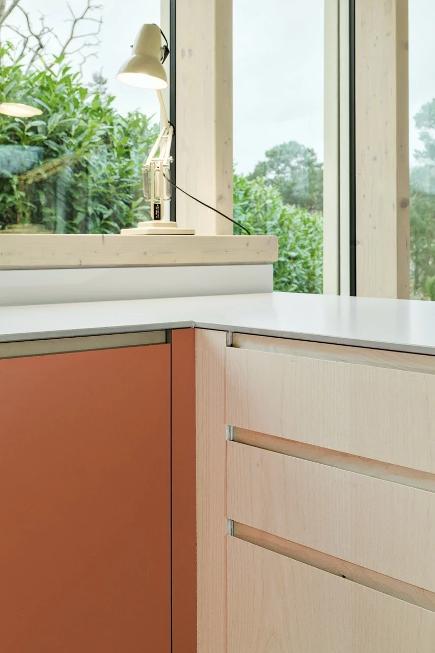 P1178687 2 Large.jpeg