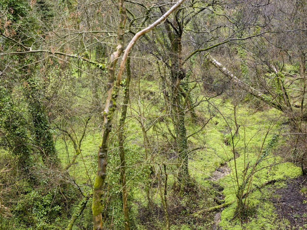 A4551307.jpg