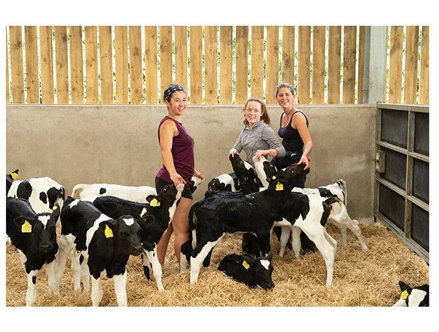 It has been great to have the RVC students with us for the last two weeks and see them getting hands on with the babies @clairebean333 @lucylynch_