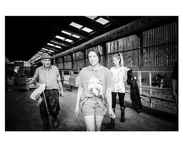 Loving this shot of the calf team. John, Claire and Kerry.