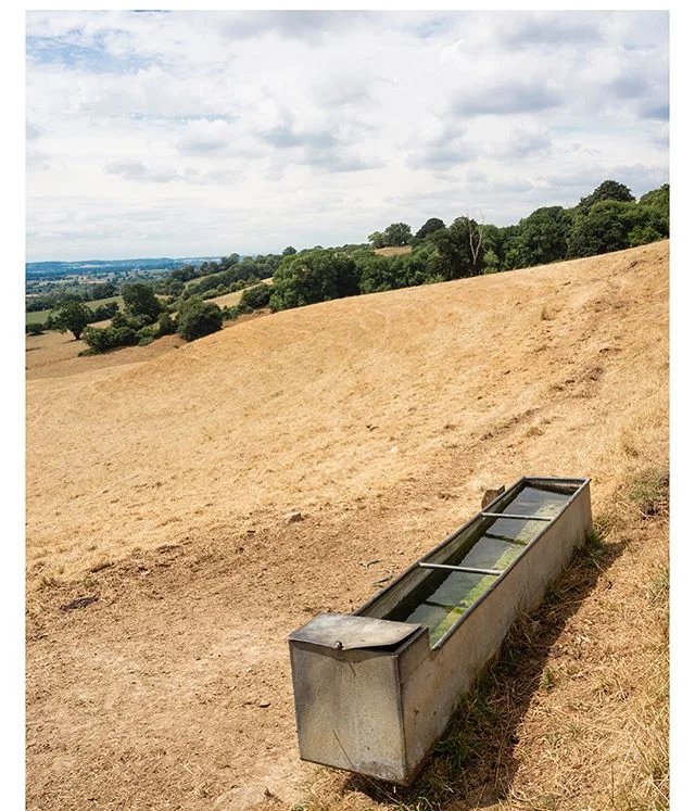 27th of July and the 8th of March. Hard to believe it would turn out to be so dry after the winter we had. Would like to see some grass growing please!