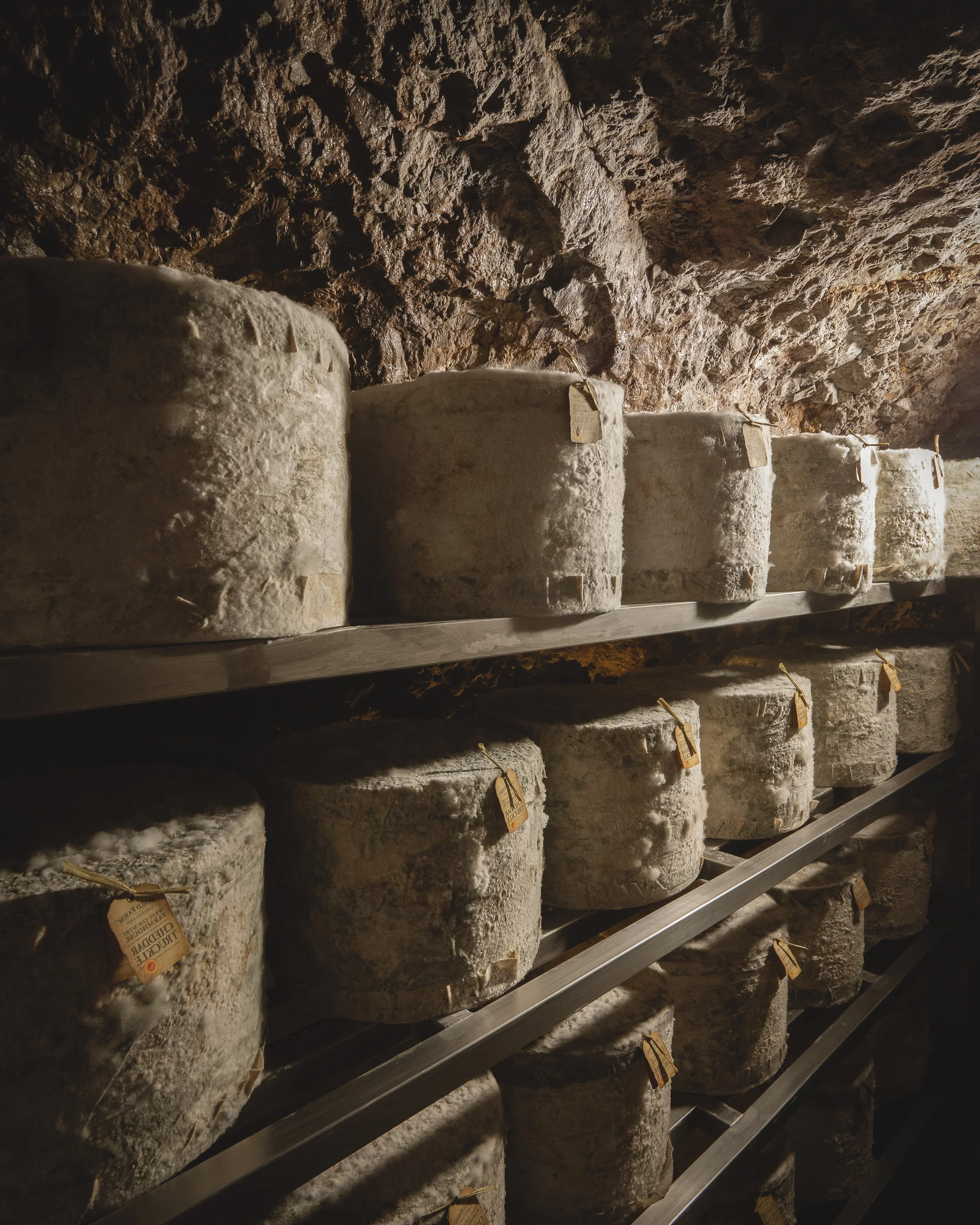 Cave_Aged_Cheddar_001LR.JPG