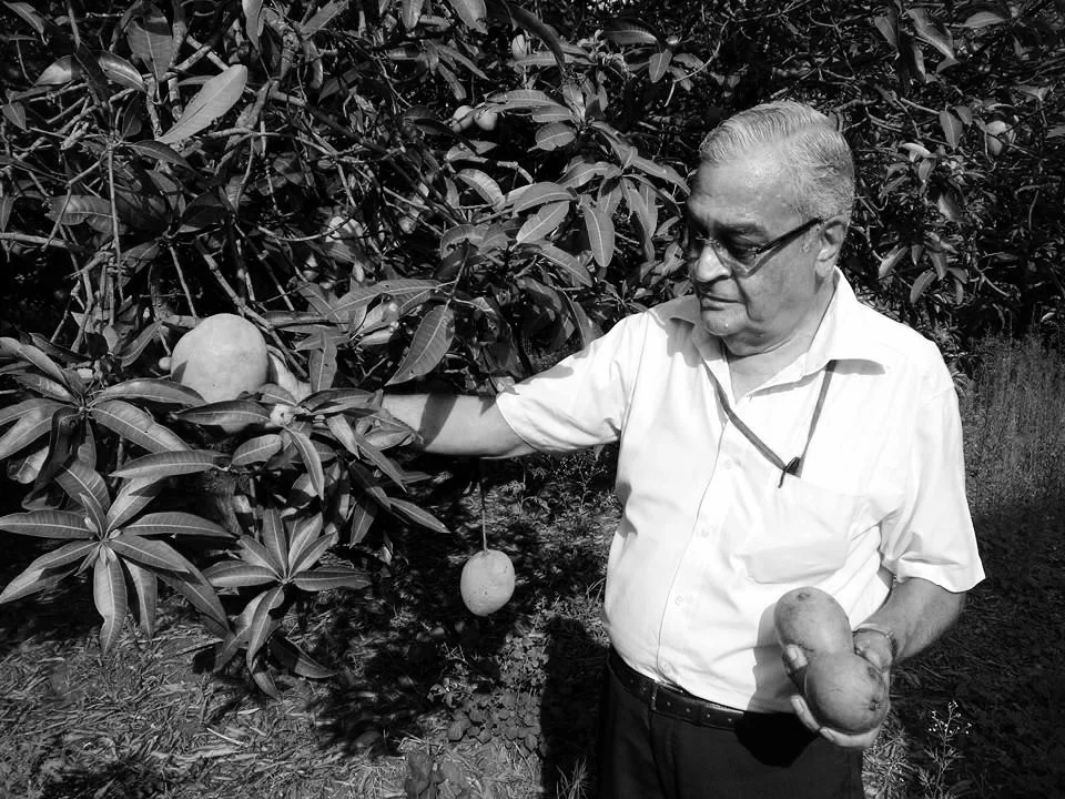 Mango-Garden-02_b-w.jpg
