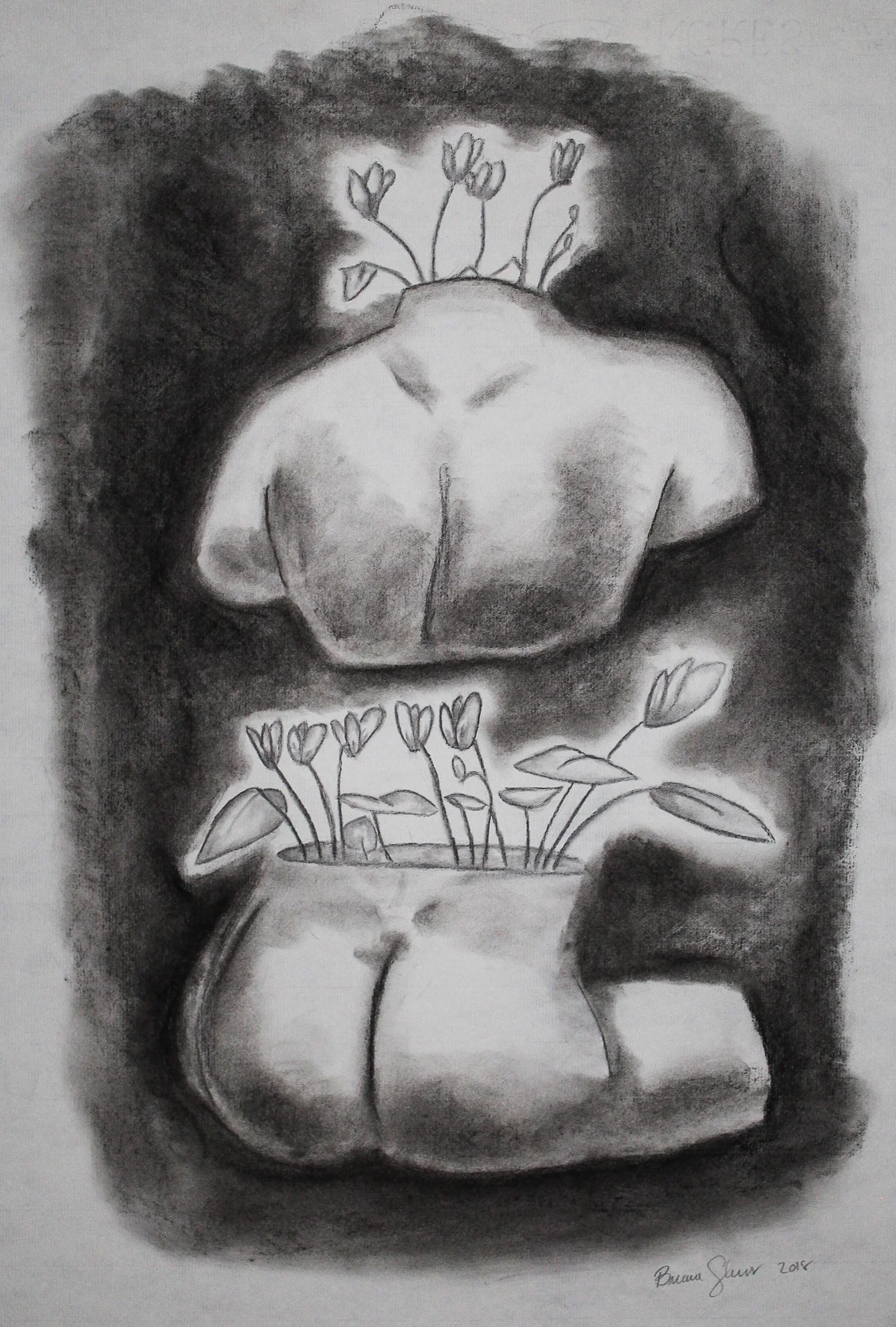 Cyclamen