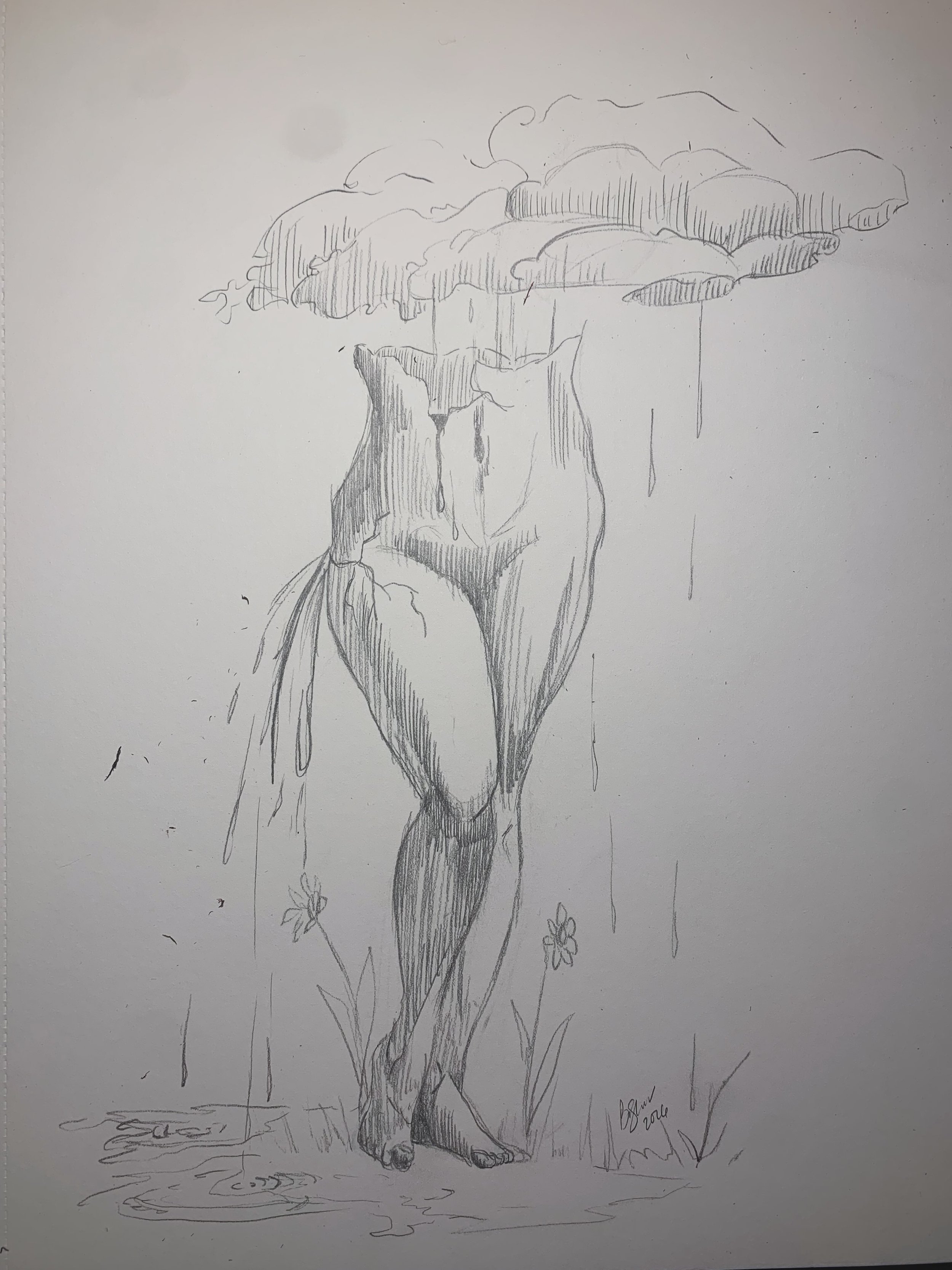 Late night drawing to ease the mind.

#shermerartwork #breannashermer #montanaartist